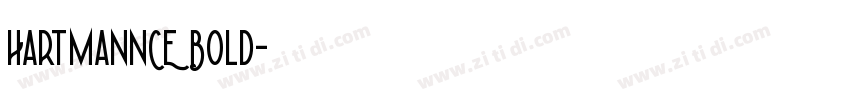 HartmannCE Bold字体转换